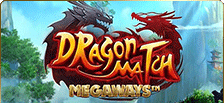 Machine à sous vidéo en ligne Dragon Match Megaways™